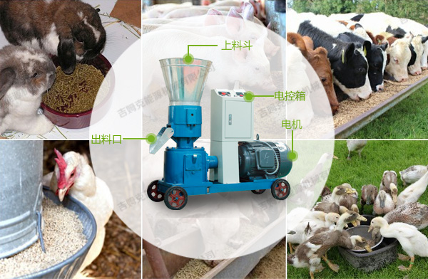 飼料顆粒機(jī) 飼料顆粒機(jī)